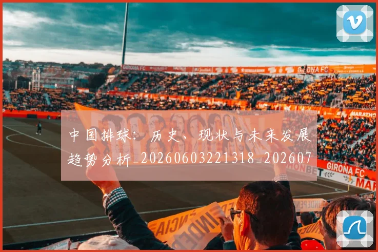 中国排球：历史、现状与未来发展趋势分析_20260603221318_20260703205542