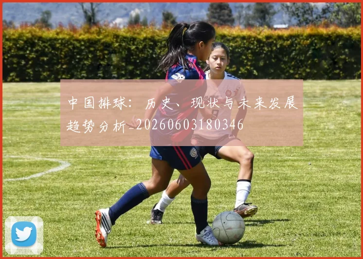 中国排球：历史、现状与未来发展趋势分析_20260603180346