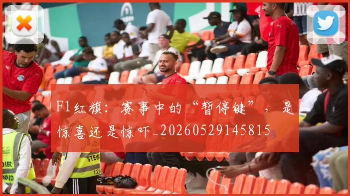 F1红旗：赛事中的“暂停键”，是惊喜还是惊吓_20260529145815
