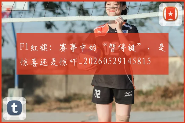 F1红旗：赛事中的“暂停键”，是惊喜还是惊吓_20260529145815